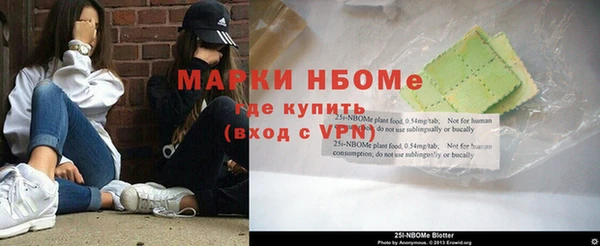 амф Новозыбков