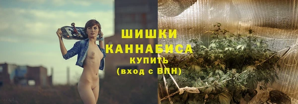 PSILOCYBIN Новокубанск