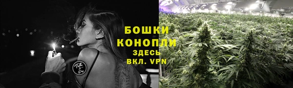 PSILOCYBIN Новокубанск