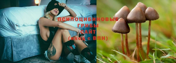 PSILOCYBIN Новокубанск