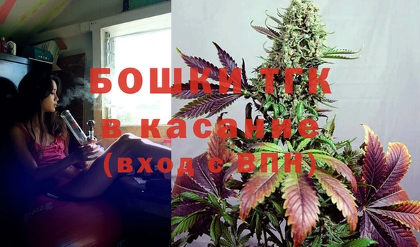индика Весьегонск