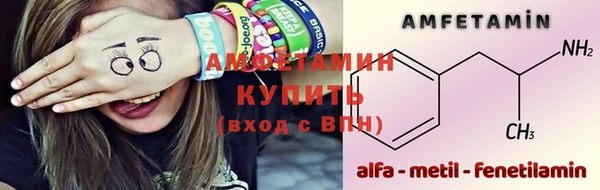 амф Новозыбков