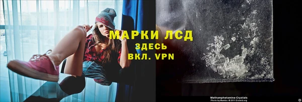 PSILOCYBIN Новокубанск