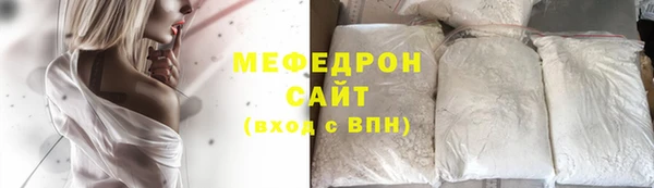 индика Весьегонск