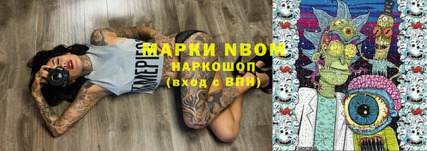 амф Новозыбков