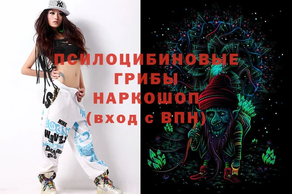 амф Новозыбков