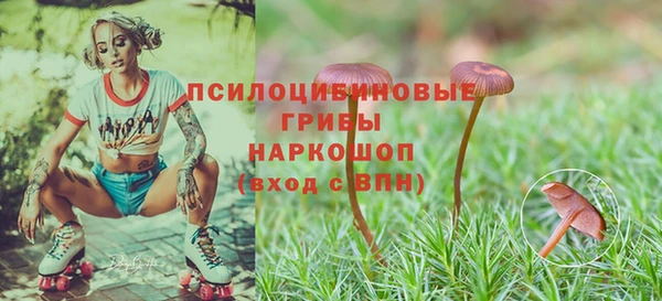 гашиш Новодвинск