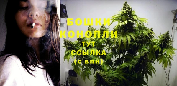 индика Весьегонск