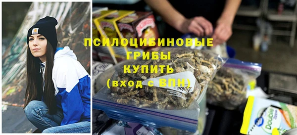 индика Весьегонск