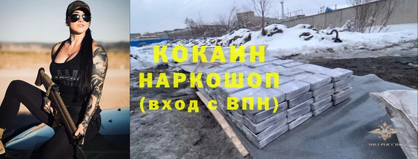 амф Новозыбков