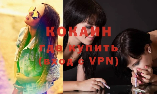 амф Новозыбков